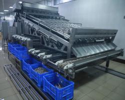 Grading Machine
