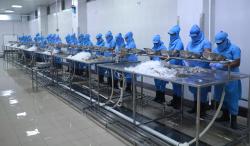 OF Preprocessing