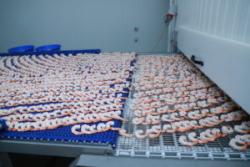 IMG 1955-300x200 (1) (1) (1)